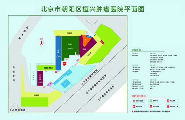 日b肏b北京市朝阳区桓兴肿瘤医院平面图